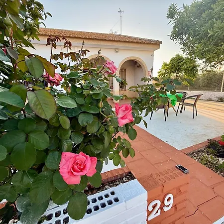 La Casa Del Flamenco * Cañada del Rabadán